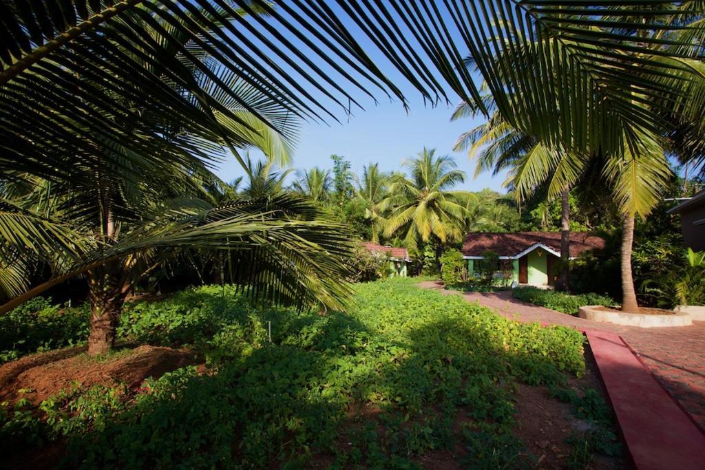 Dunhill Beach Resort Agonda Exteriör bild