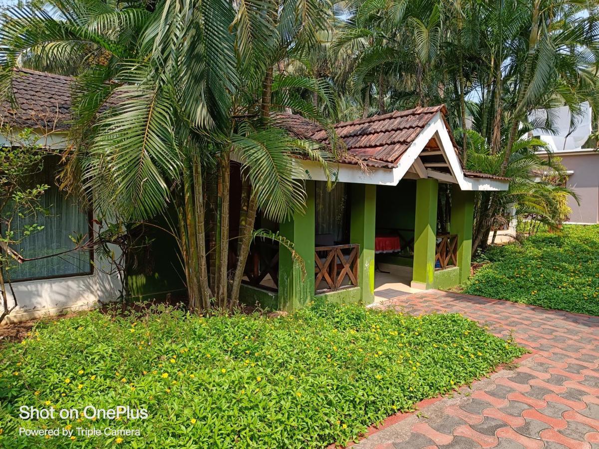 Dunhill Beach Resort Agonda Exteriör bild